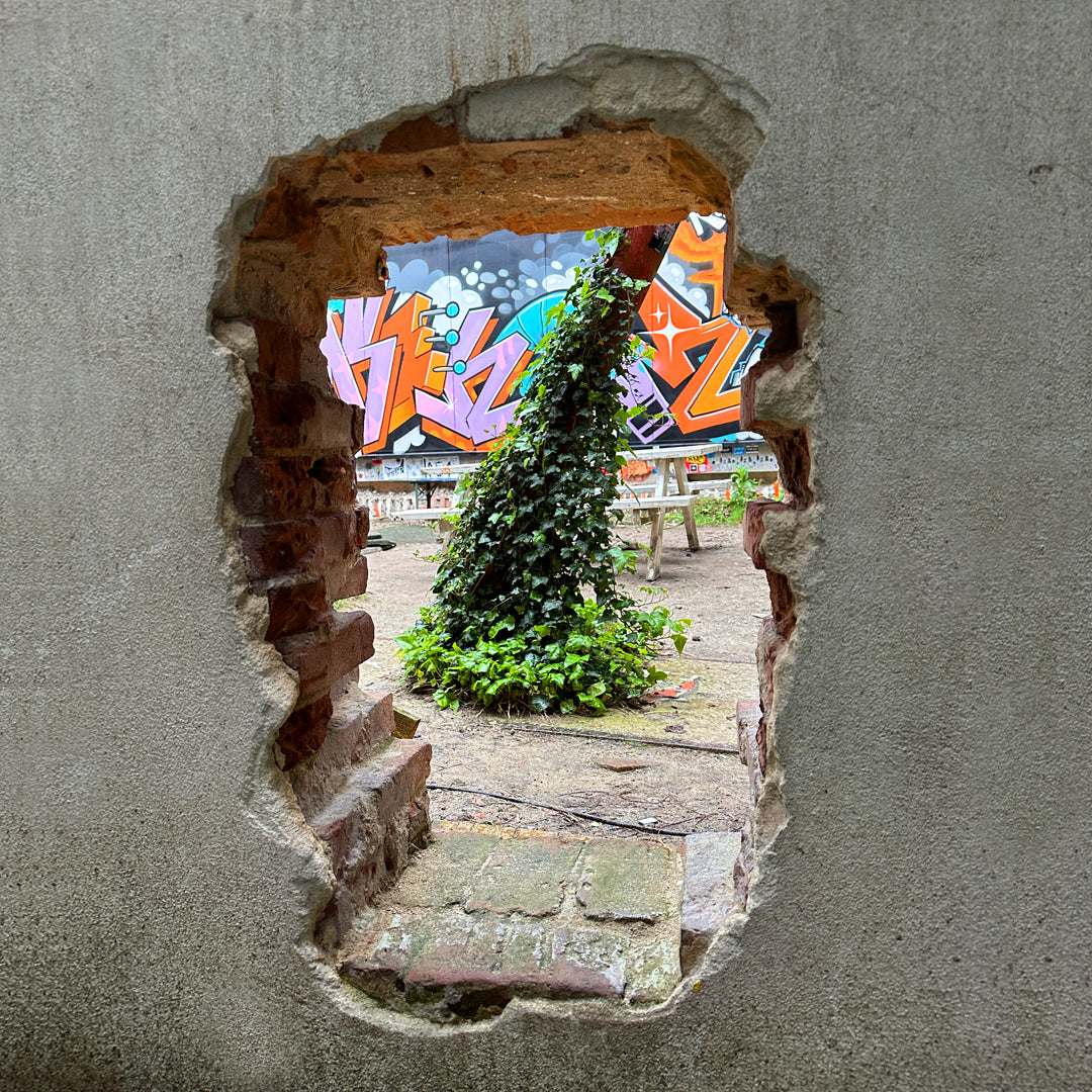 Secret Garden 2024 - Original